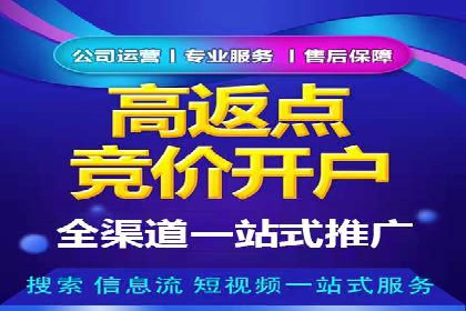 SEM服务公司助力电商增长案例